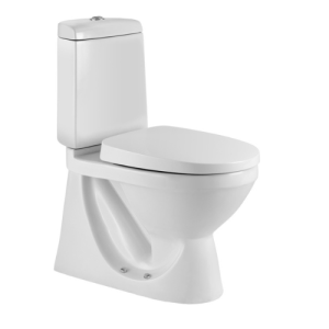 Direct-wash Two-piece Toilet LZ1601P